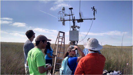 Eddy covariance equipment installed at Everglades National Park